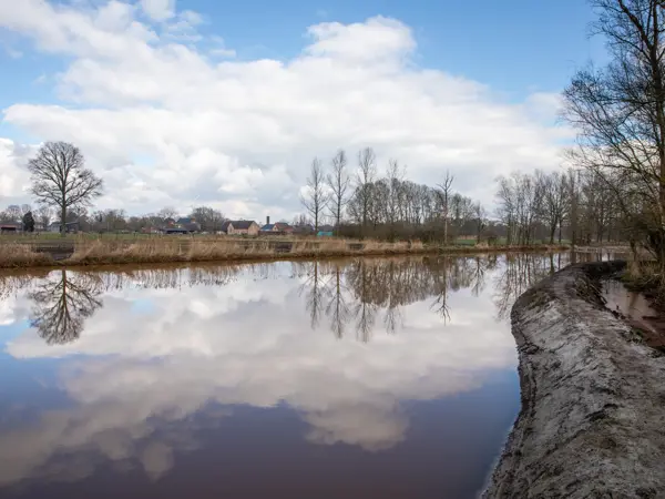 Natuurlijke waterzuivering in de Grote Caliebeek